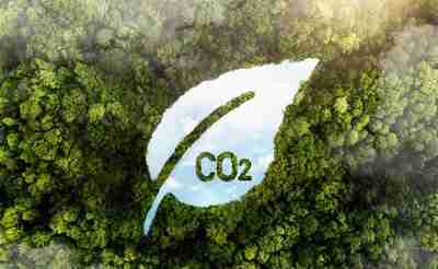 Neutralité carbone : définition et objectifs